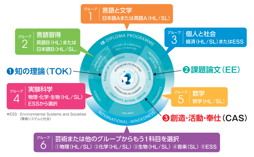 コースの内容
